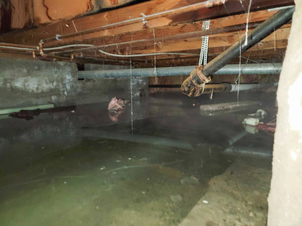 Best Basement water damage restoration  in Lake City, GA