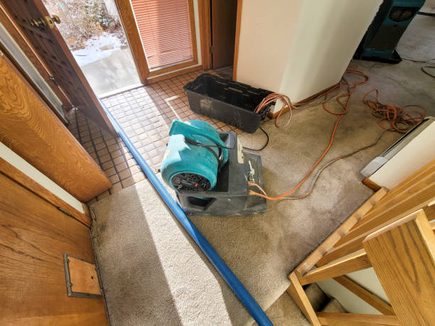 Best Flooded house restoration  in Lake City, GA