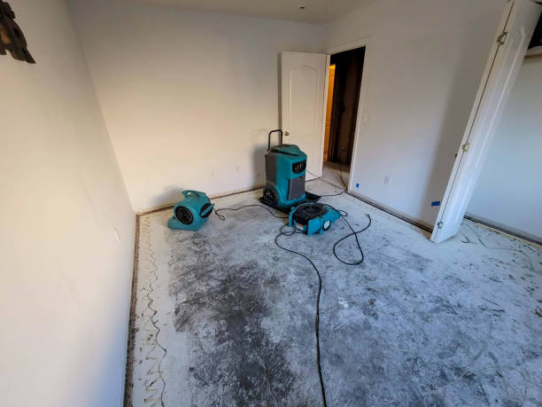 Best Flood restoration services  in Lake City, GA