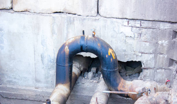 Best Mold removal after water damage  in Lake City, GA